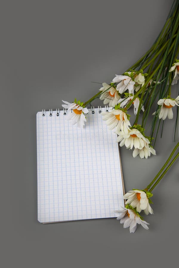 Bouquet daisies and a card stock photo. Image of card 140365414