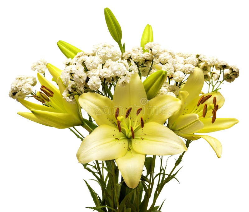 Bouquet of Daisies and Lilies Stock Image Image of decoration