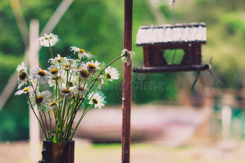 A bouquet of daisies on a window sill in a country house