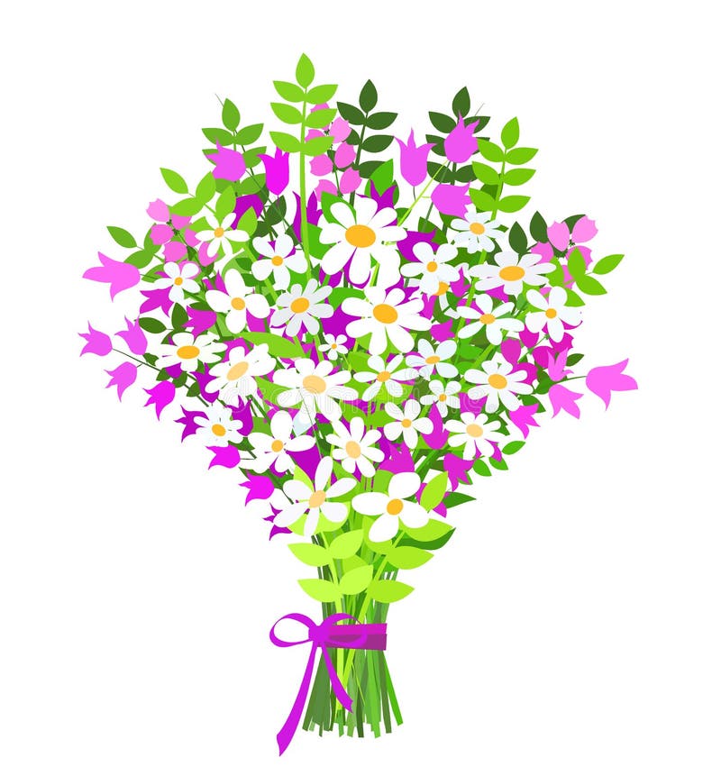 Bouquet of daisy stock vector. Illustration of bouquet - 55599747