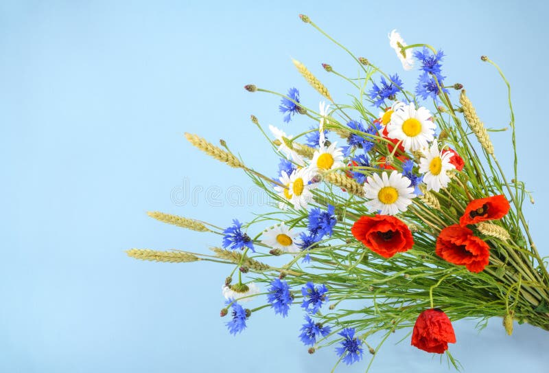Bouquet de beaux bleuets de fleurs, blé de camomilles et
