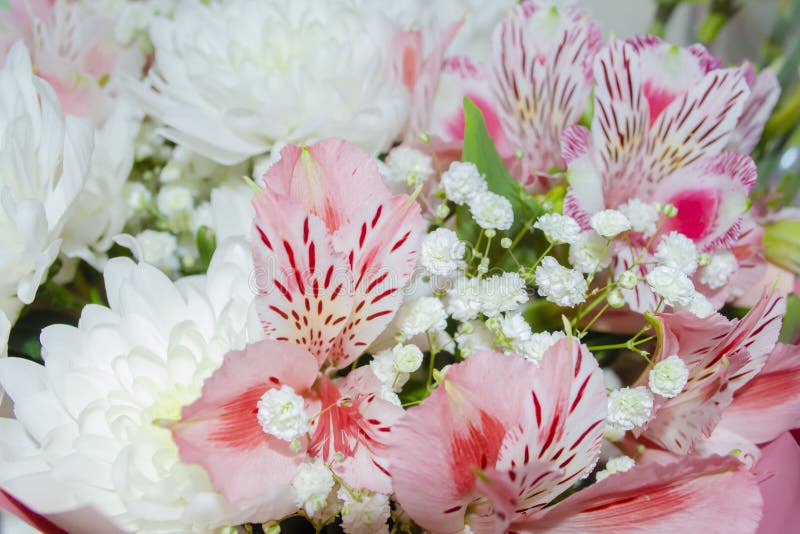 Bouquet De Casamento Feito De Chrysanthemum Gypsophila E Alstroemeria Foto  de Stock - Imagem de romântico, flor: 198530254