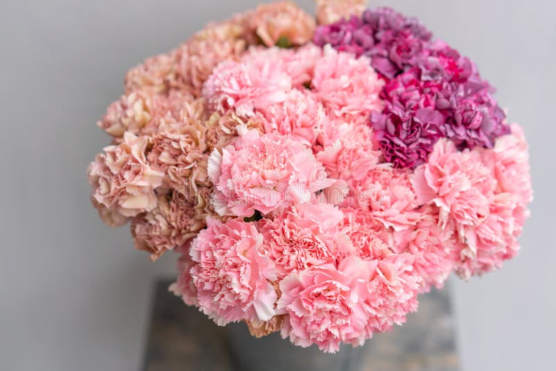 Bouquet de couleur de fleurs rose et violet d'oeillet Fond de source Présent de groupe de clou de girofle pour le jour de mères images stock Bouquet de couleur de fleurs rose et violet d'oeillet Fond de source Présent de groupe de clou de girofle pour le jour de mères images stock