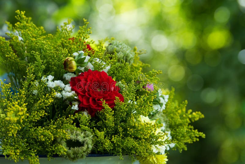 Bouquet de fleurs colorées avec dahlias. Bouquet fleuri coloré avec dahlias et fond vert nature avec espace copie