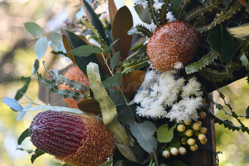 Bouquet de fleurs indigènes australiennes. Un bouquet d'autochtones australiens est attaché à un poteau comme décoration. il comprend les pots et les feuilles de la banqueroute. l'accent est mis sur le premier plan