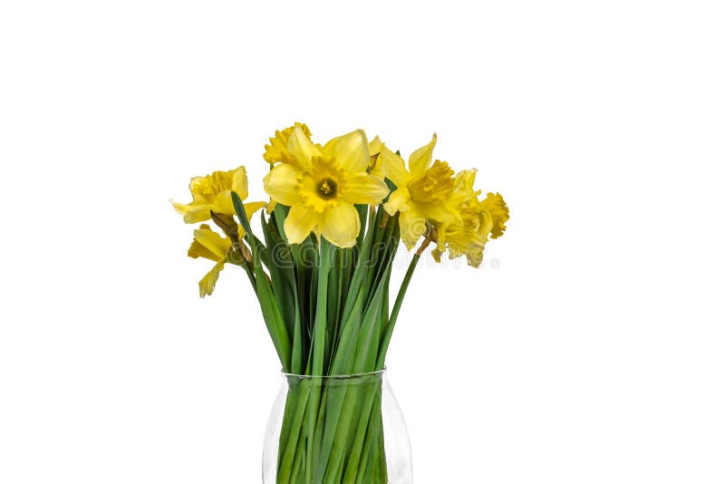 Bouquet De Jonquilles En Vase. Fleurs Coupées De Pâques Et De Printemps.  Photo stock - Image du pétale, glace: 214216894