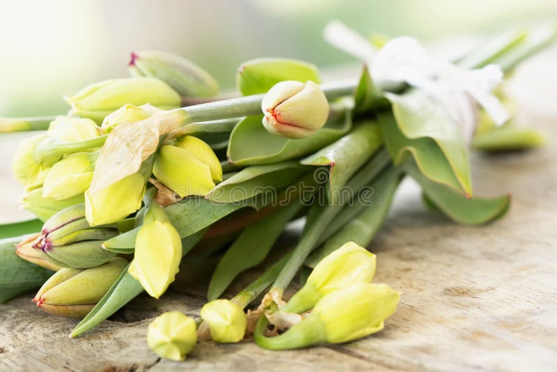 Bouquet De Narcisse De Tulipe Et De Jonquille Image stock - Image du  cadeau, jonquille: 144215787