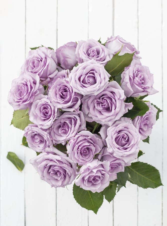 Bouquet of Delicate Pink Roses Top View Stock Image Image of purple