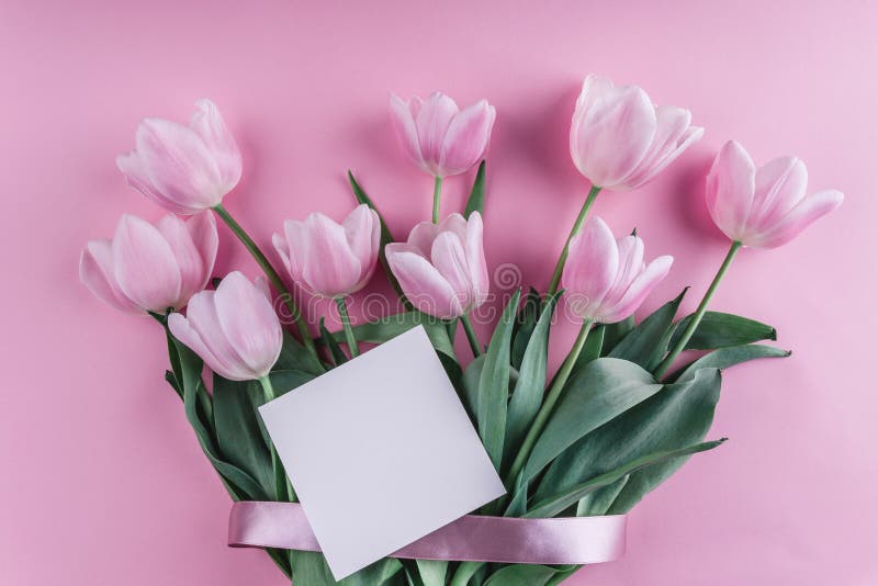 Bouquet des fleurs de tulipes et de la feuille de papier blanches au-dessus de fond rose-clair Carte de voeux ou invitation de ma photo stock