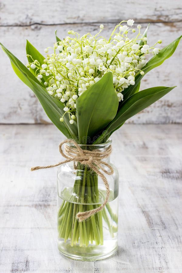 Bouquet De Source Le Muguet Et Lilas Dans Un Vase Photo stock Image du roman, groupe 50978098
