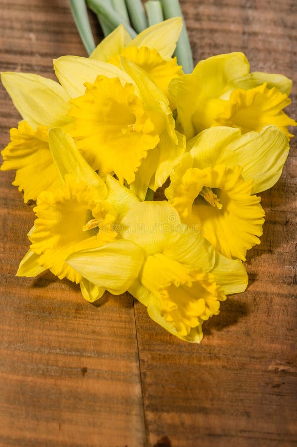 Le Bouquet De La Jonquille Jaune Fleurit Dans Un Pot Photo stock