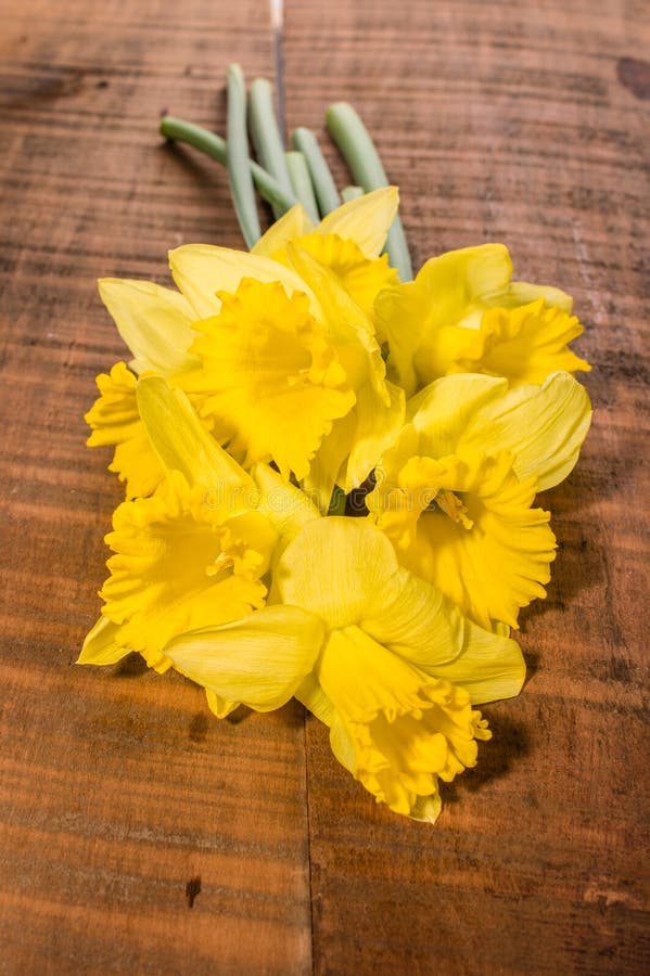 Le Bouquet De La Jonquille Jaune Fleurit Dans Un Pot Photo stock