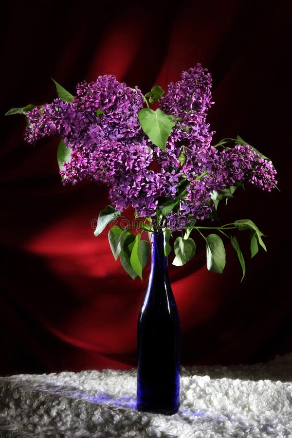 Bouquet des lilas pourpres luxueux sur le velours rouge images stock Bouquet des lilas pourpres luxueux sur le velours rouge images stock