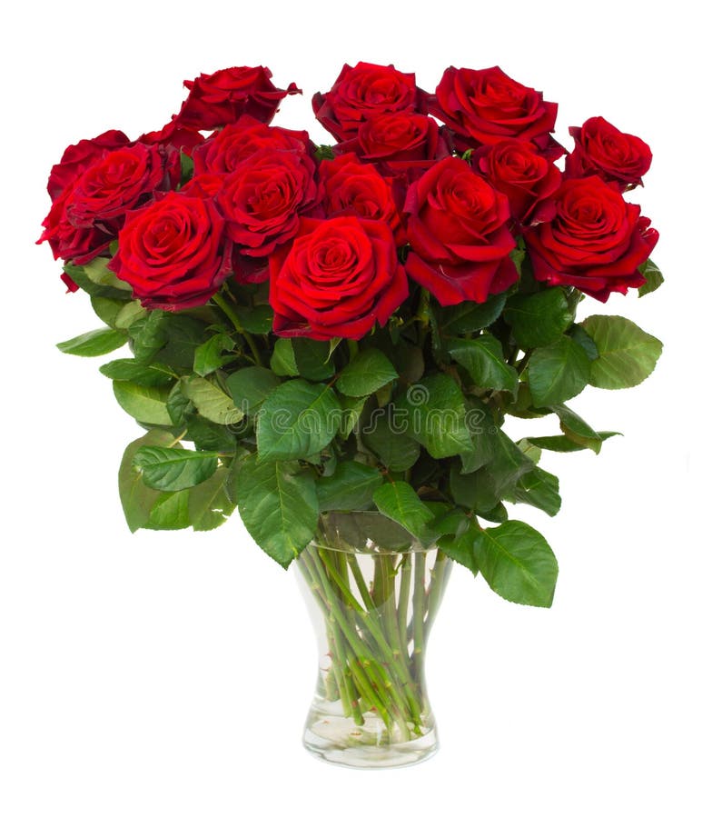 Bouquet des roses rouge foncé de floraison dans le vase photo stock Bouquet des roses rouge foncé de floraison dans le vase photo stock