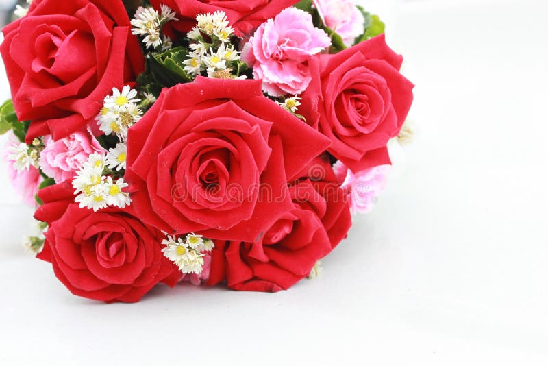 Fleurs d'amour photo stock. Image du durée, amour, lame - 13739148