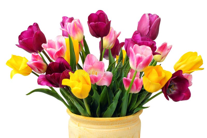 Bouquet des tulipes jaunes, roses et pourpres