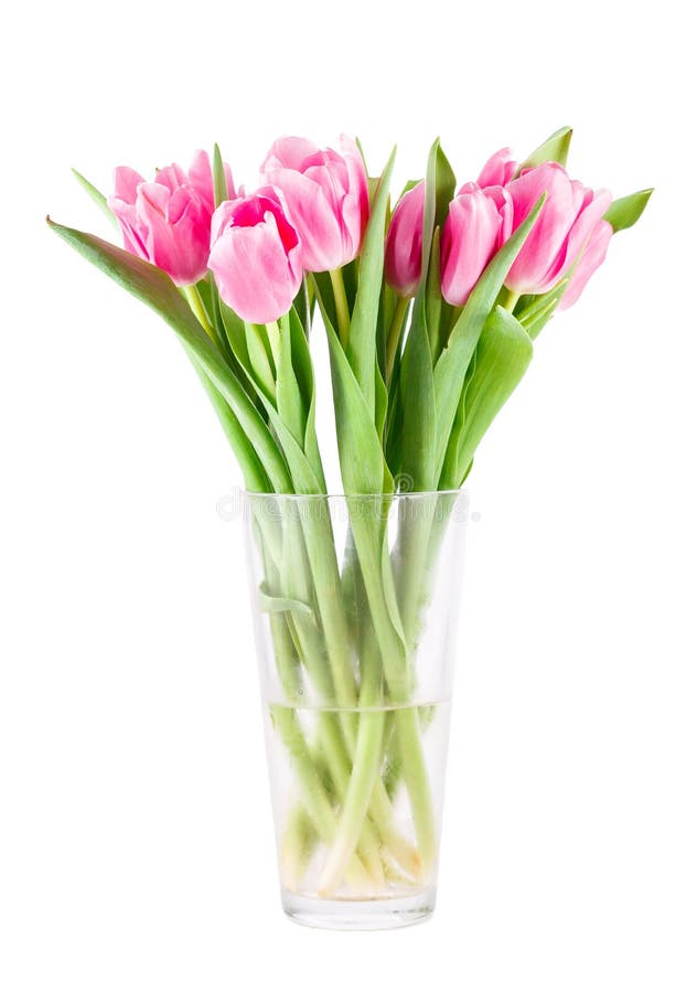 Bouquet des tulipes roses dans le vase photographie stock libre de droits