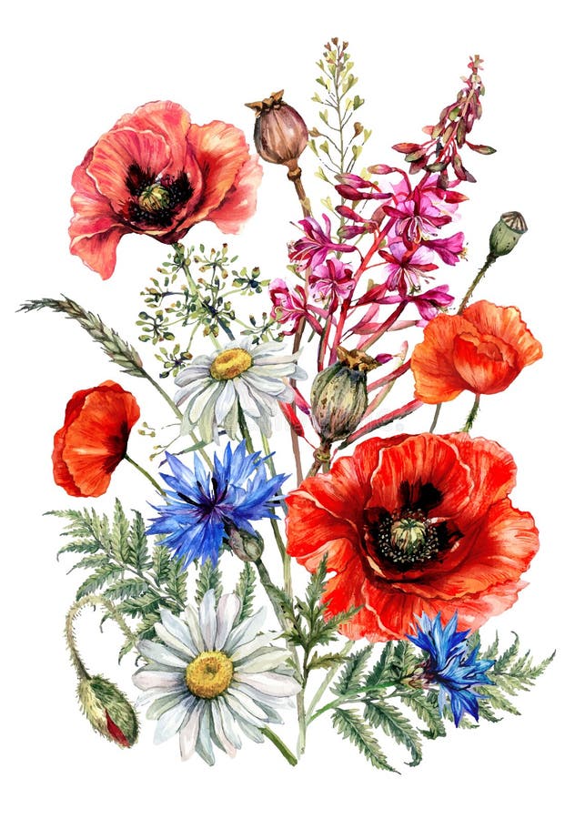 Bouquet di acquerelli disegnato a mano di fiori selvatici dell'estate immagini stock libere da diritti