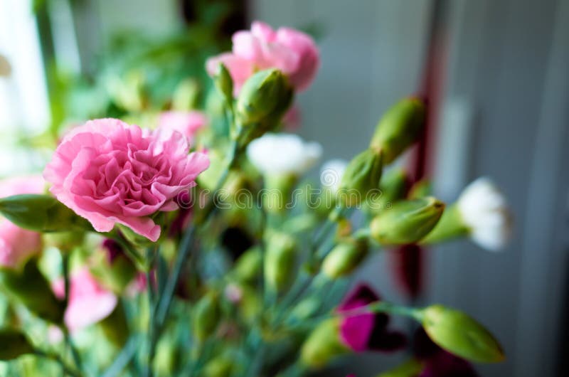Bouquet di fiori con fiori viola e rosa immagine stock libera da diritti