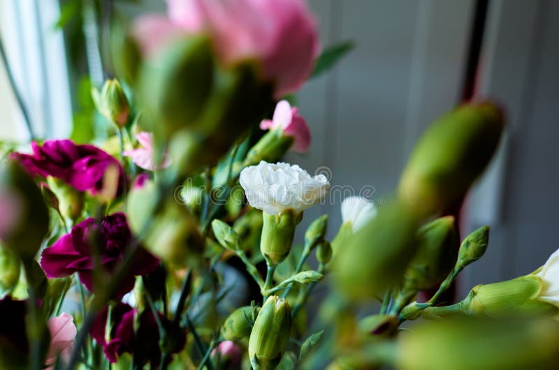 Bouquet di fiori con fiori viola e rosa fotografia stock libera da diritti