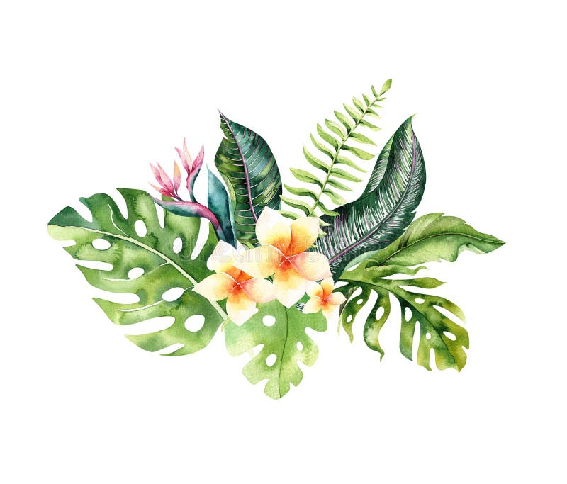 Bouquet di fiori tropicali di colore acquoso disegnato a mano. foglie esotiche di palma foglie di giungla di botanica tropicale br