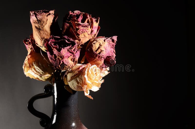 Bouquet of Dried Roses in Ceramic Vase Stock Photo Image of beauty
