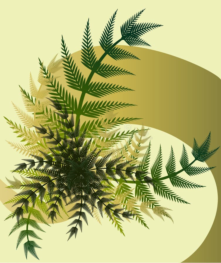 Bouquet of fern stems royalty free illustration