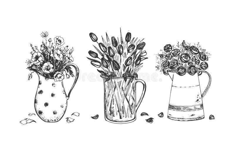 Bouquet Field Flower In Vase Set Stock Vector Illustration Of Glass Botanical Bouquet Field Flower In Vase Set Stock Vector Illustration Of Glass Botanical