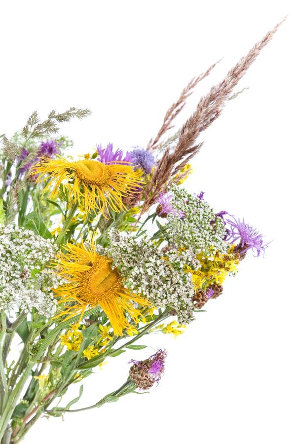 Bouquet of field flowers stock image. Image of assortment 2989159