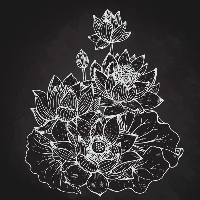 Bouquet floral de beau vecteur monochrome des fleurs de lotus illustration stock Bouquet floral de beau vecteur monochrome des fleurs de lotus illustration stock