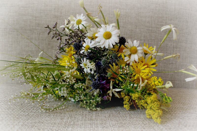A bouquet of flowers field stock image. Image of decoration 74108997