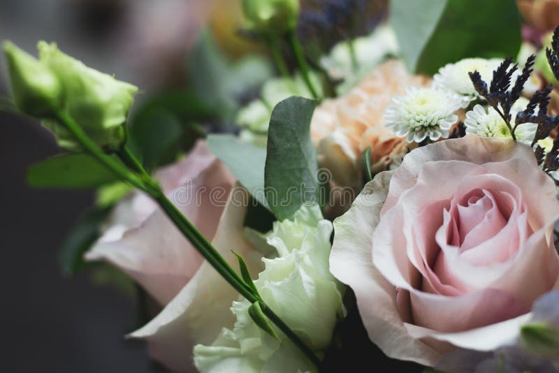 Bouquet of flowers in gentle tones close up floral background stock photo Bouquet of flowers in gentle tones close up floral background stock photo