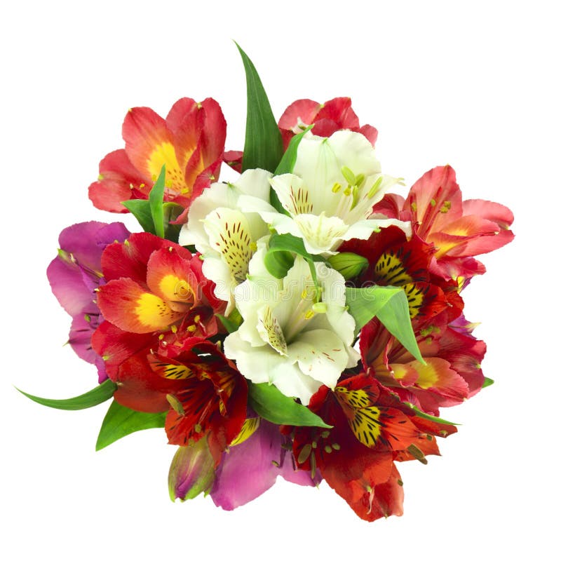 Bouquet flowers stock photo. Image of flowers, floral - 62767002