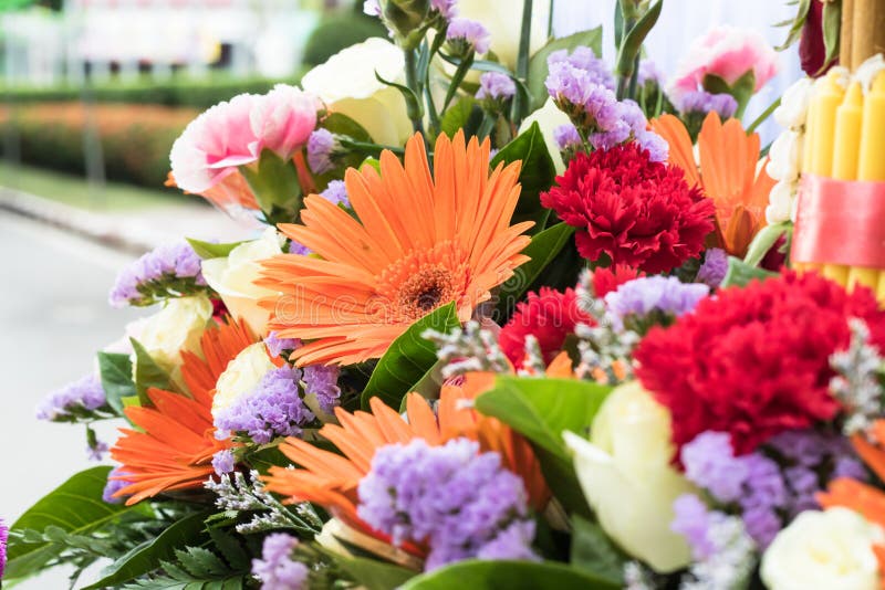 Bouquet of flowers. stock photo. Image of drop, bloom 84265356