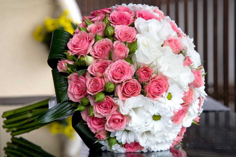 Bouquet of Fresh Pink Roses Isolated on White Stock Photo - Image of ...