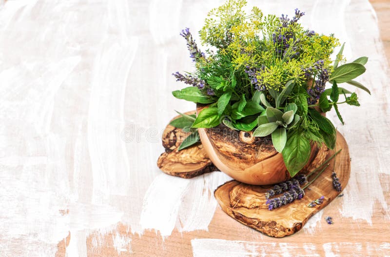 Bouquet of fresh herbs and olive wood kithchen tools. Healthy fo royalty free stock image Bouquet of fresh herbs and olive wood kithchen tools. Healthy fo royalty free stock image