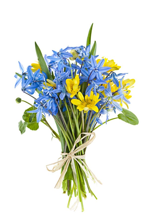 Wildflower bouquet stock photo. Image of bunch, freshness 38838364