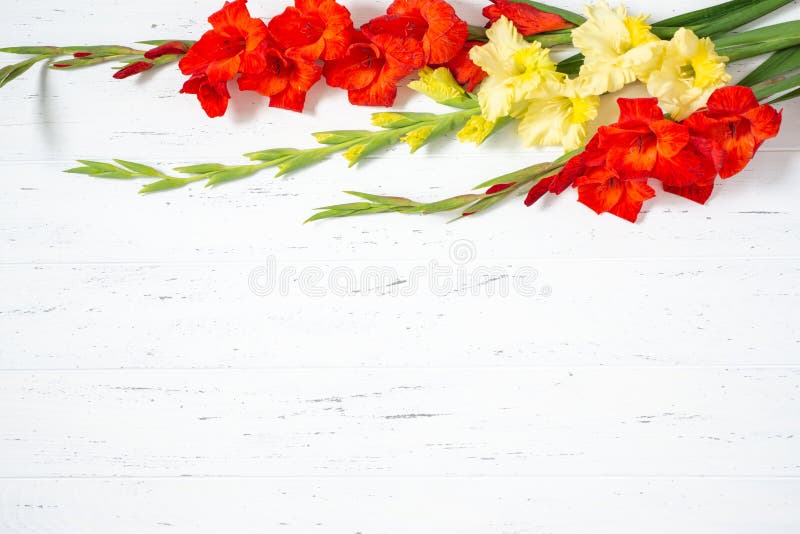 Bouquet of fresh yellow and orange gladiolus flower close-up on white wooden background with copy space