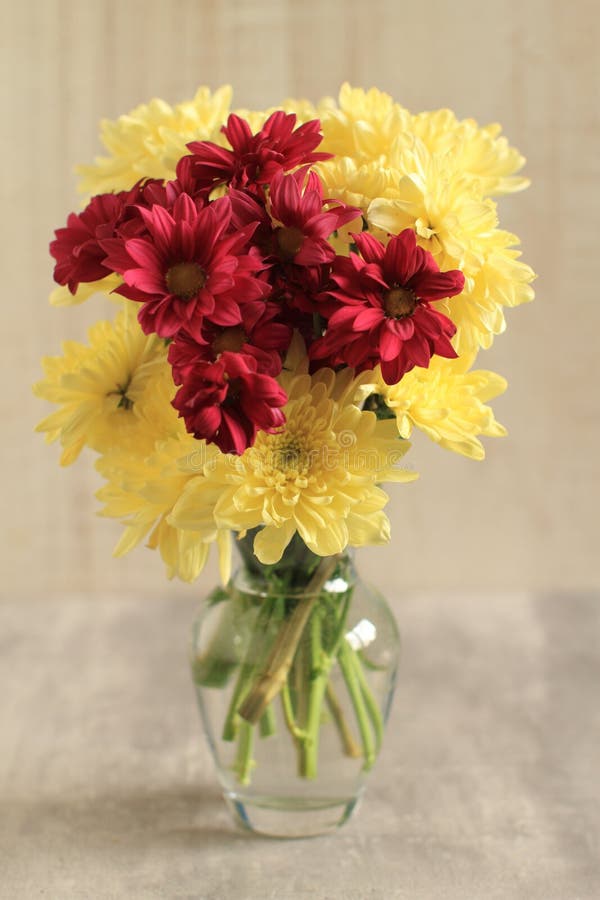 Bouquet färglösa mini-krysanthemum-blommor i en vas på ett bord