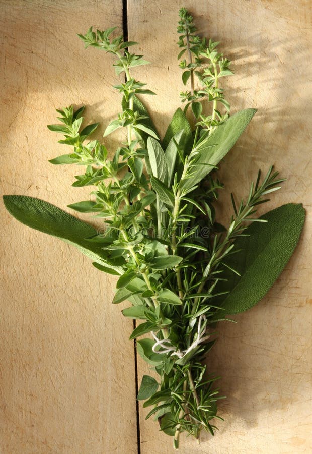 Bouquet Garni stock image. Image of bunch, herbs, sage - 3686977