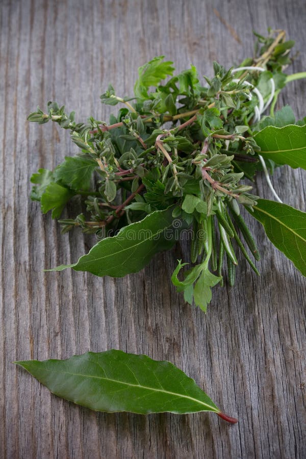 Bouquet Garni. stock photo. Image of herbes, bouquet - 30499304