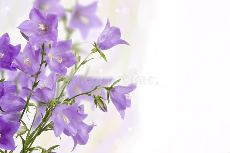 Bouquet of hand bells