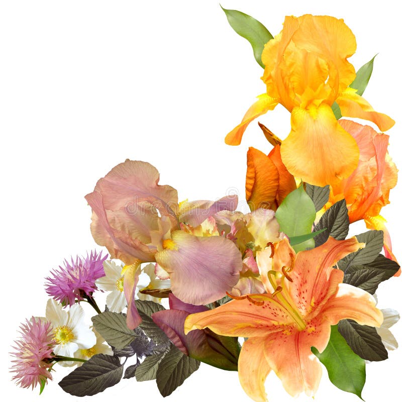 Bouquet Iris and Lily on Yellow Shabby Background Stock Illustration