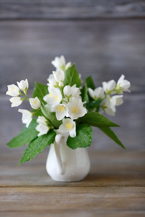 Jasmine In A Vase On The Boards Stock Image Image of chic, rustic