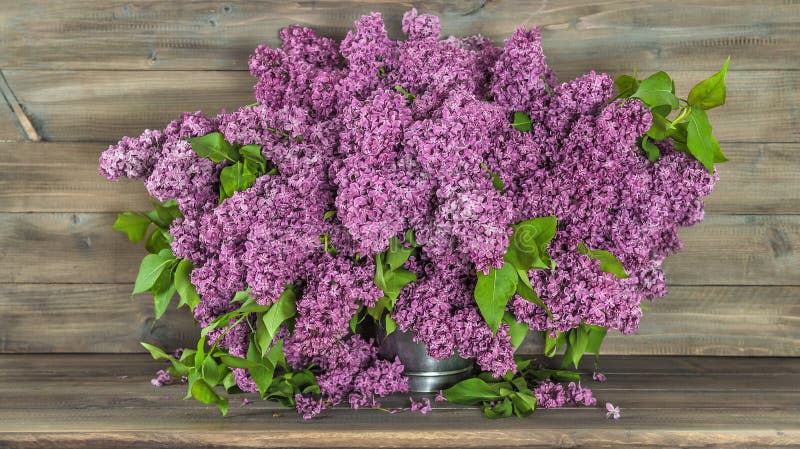Bouquet of lilac flowers on wooden background. Retro style royalty free stock photos Bouquet of lilac flowers on wooden background. Retro style royalty free stock photos
