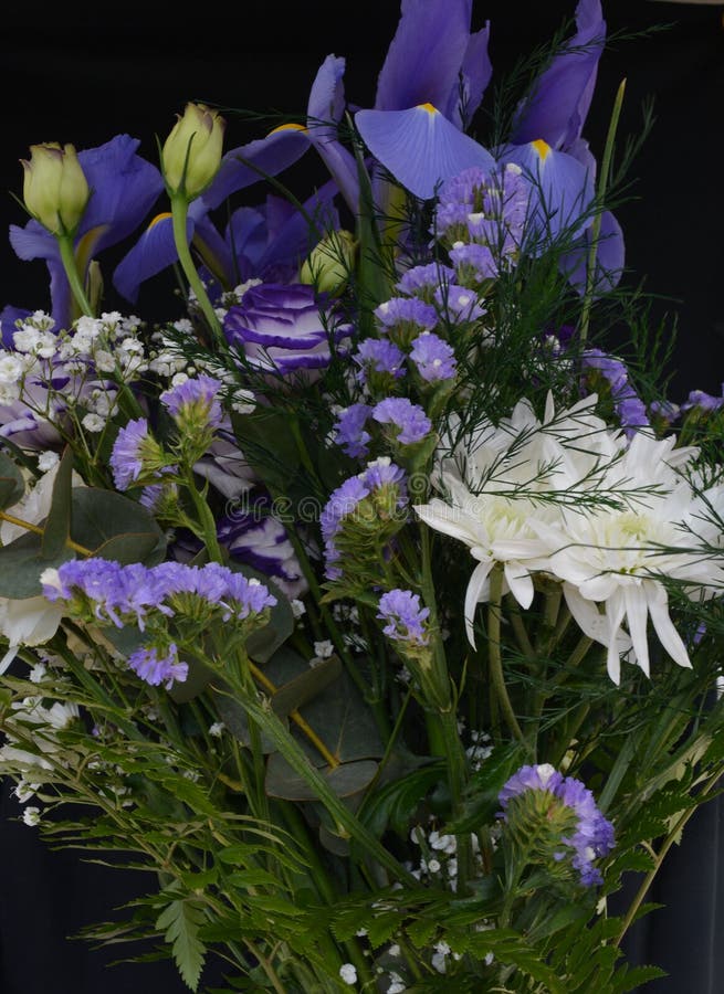 Bouquet with Lilac Irises and White Asters on a Black Background Stock ...