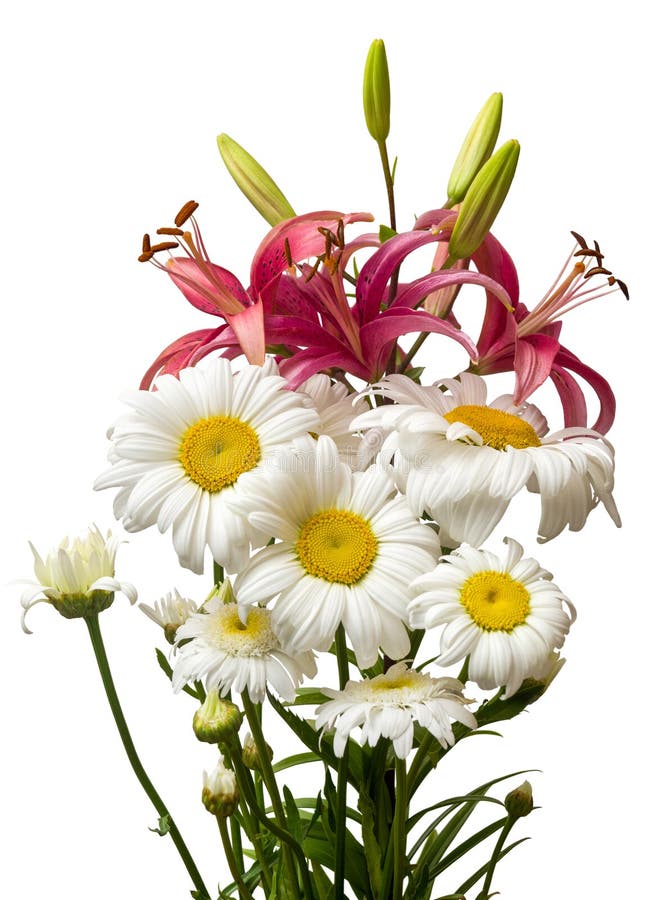 Bouquet of Lilies and Daisies Stock Image Image of lilly, celebration