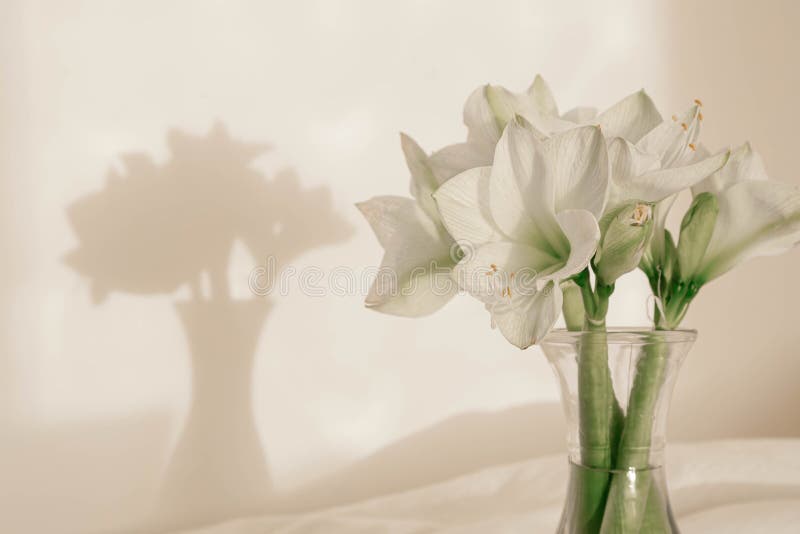 Bouquet of Lilies in a Glass Vase in the Interior of the Room. Stock