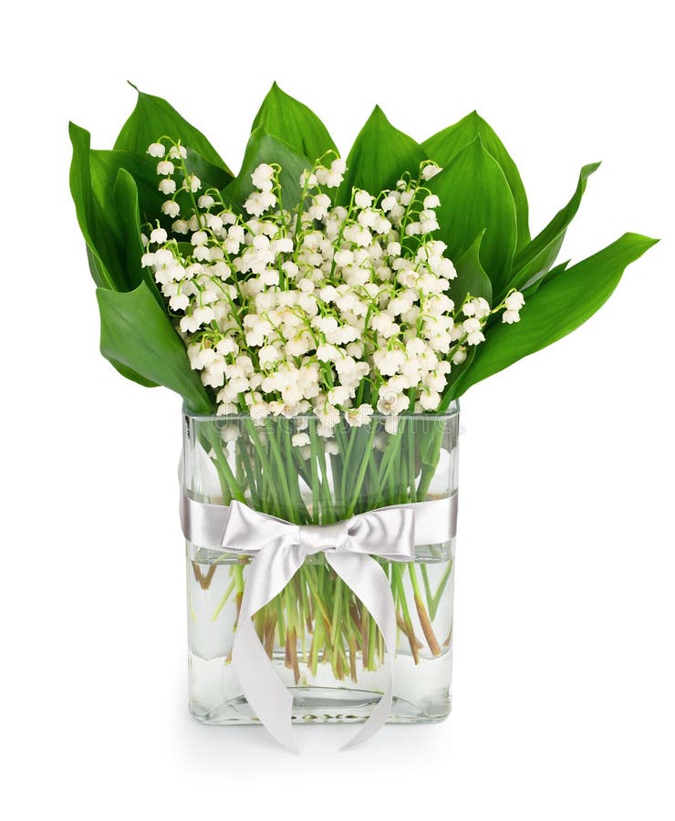 My Image 30