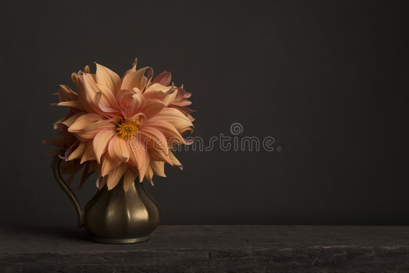Bouquet med blommande krämblommor i en gyllene vase på ett bord i en klassisk fin bild